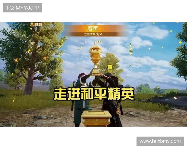 杨丽专访揭秘和平精英成功背后的策略与创新之路